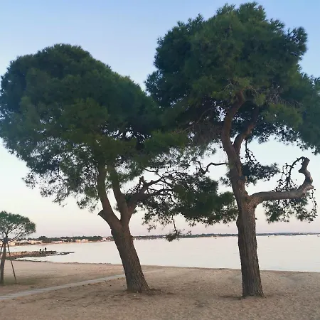 Villa Le Dune A Mare *